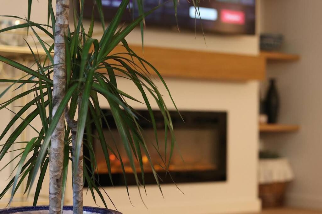 Apartment Lc Voramar Benicassim