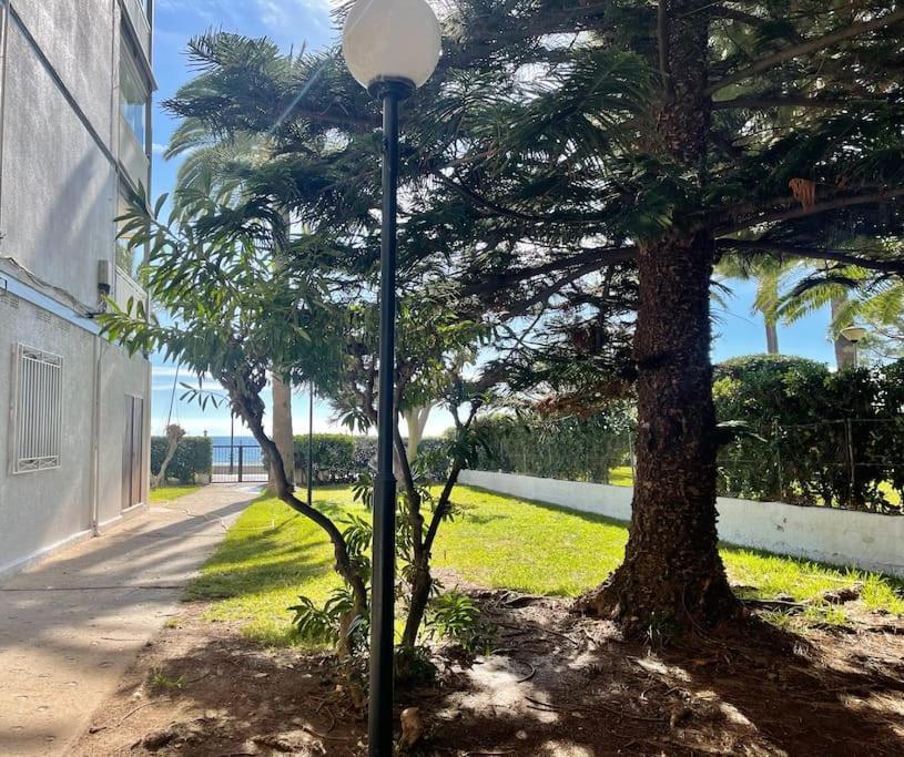 Apartament Lc Voramar *