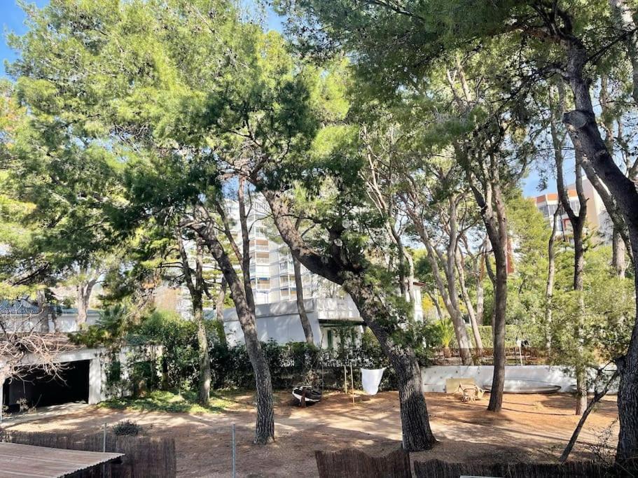 Lc Voramar Benicassim